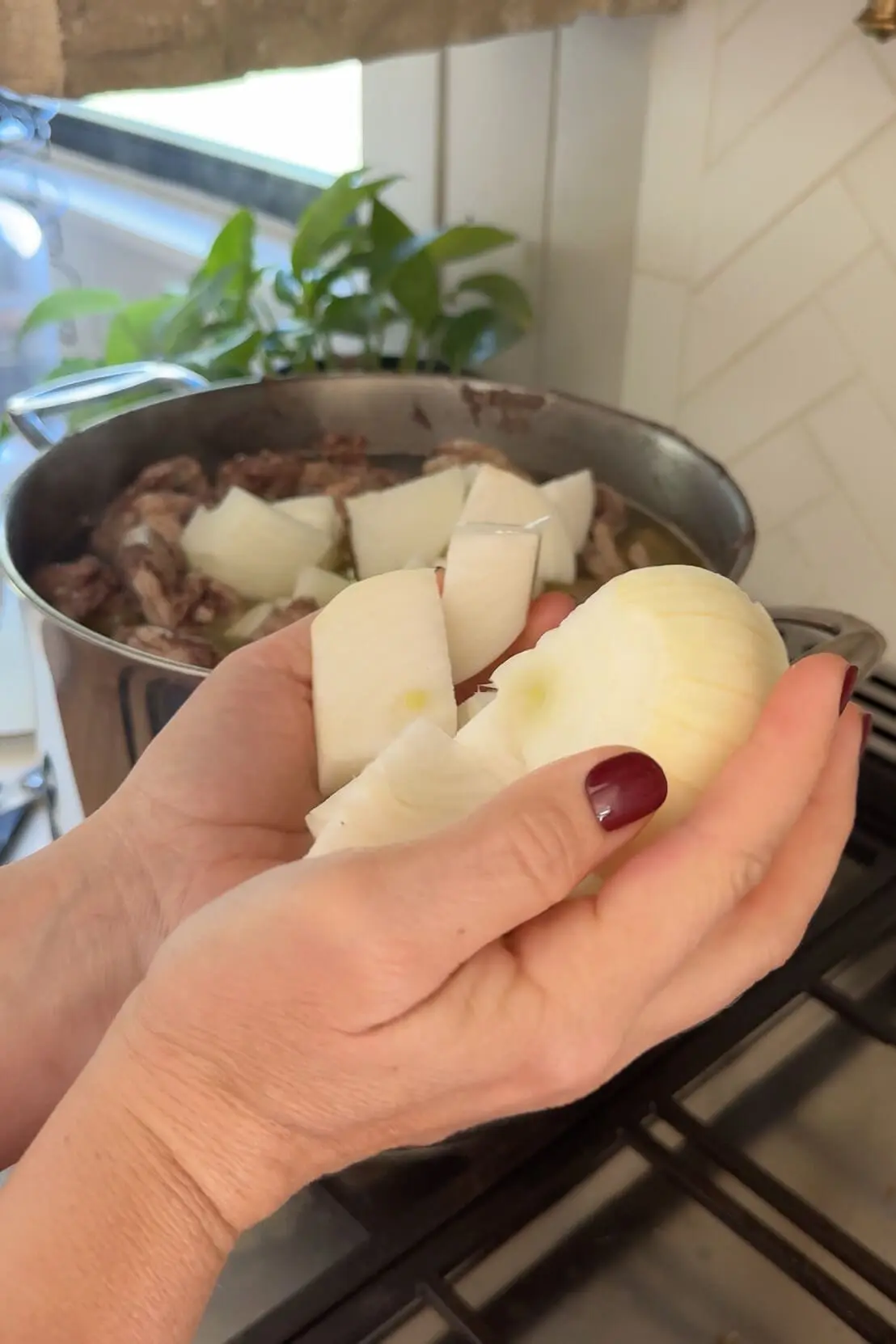  Adding unpeeled garlic and onions to a pot of homemade chicken stock, enhancing the flavor and richness of the broth.
